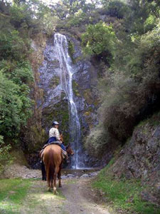 New Zealand-South Island-Alpine Pacific Triangle Ride